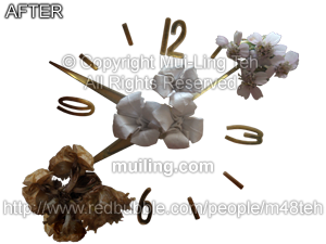 "The Blooming, the Withering, and the Everlasting" by Mui-Ling Teh with the background removed.
