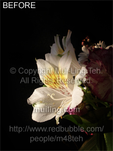 "Morning Bloom" by Mui-Ling Teh