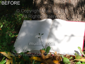 Raw version of "Where stories are born" by Mui-Ling Teh
