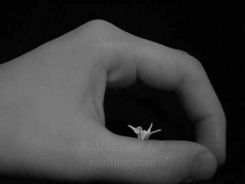 Miniature origami crane by Mui-Ling Teh